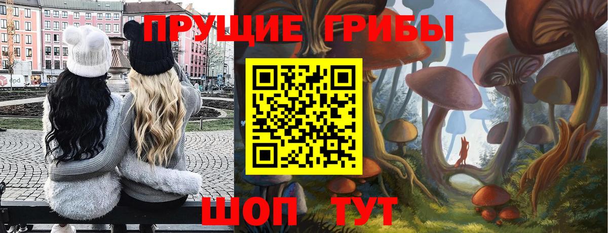Клин  Галлюциногенные грибы Psilocybe  Вход с VPN 