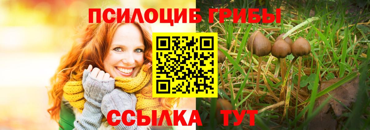 Галлюциногенные грибы MAGIC MUSHROOMS Клин